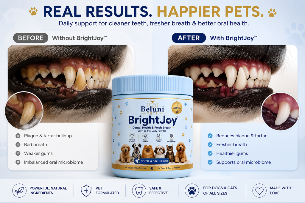 BrightJoy™ Dental Health & Fresh Breath Powder for Dogs & Cats | Beluni Pets